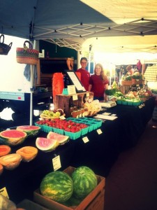 Shop with us at the Gettysburg Farmers' Market, Saturdays all spring and summer!