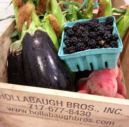 Summer CSA
