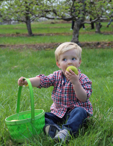 boy with Easter basket eating an apple