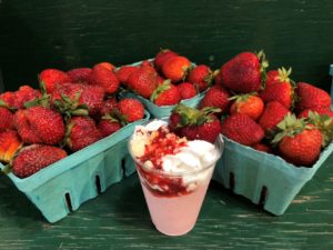 quarts pf strawberries surrounding a strawberry milkshake