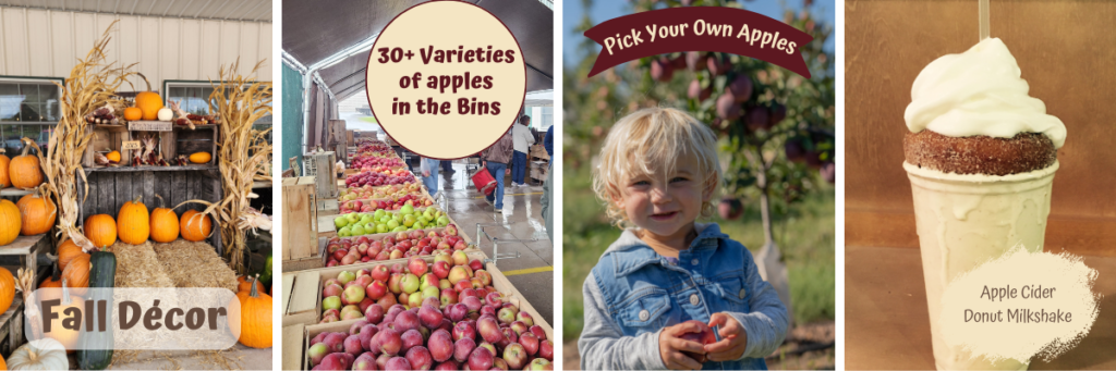 Plan a visit to the market during National Apple Harvest weekend for all things fall!