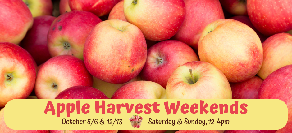 Stop by the market during Apple Harvest weekends for all things apple!