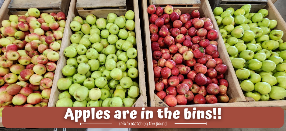 Apples are in the bins!