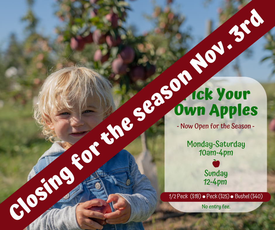 Our PYO orchard will be closing for the season at 4pm on Sunday, November 3rd.