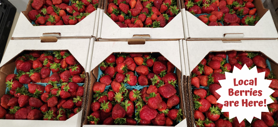Local Berries are Here!