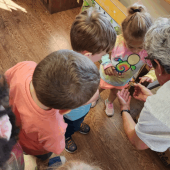 Children looking at butterfly