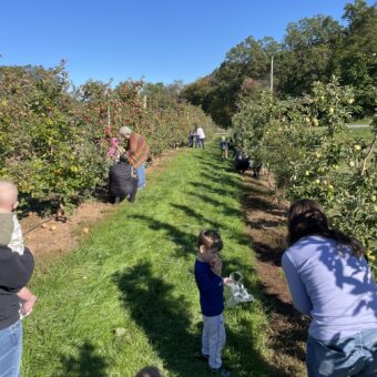 Families in apple orchard.