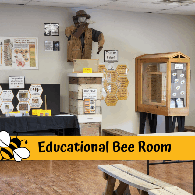 Educational Bee Room