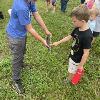 Children looking at a fish