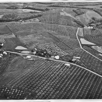 Aerial view of farm