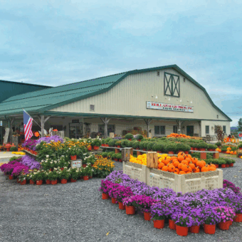 Hollabaugh Bros. Market during Fall