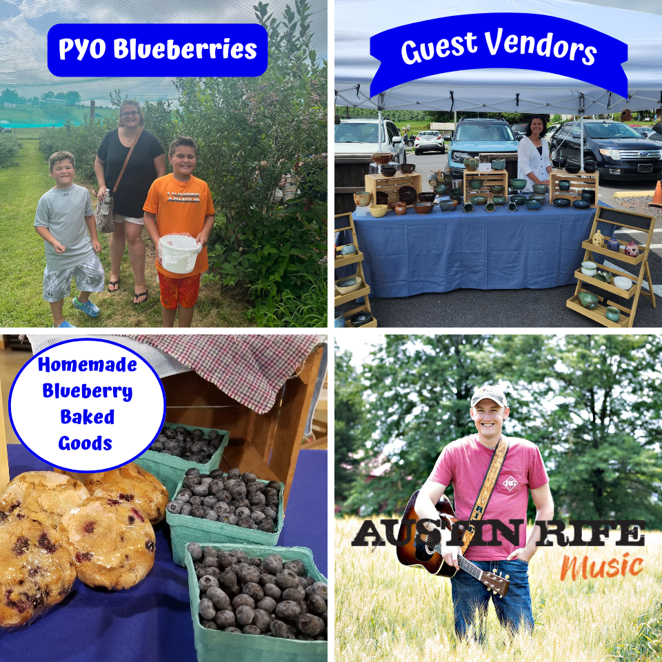 PYO Blueberries, Guest Vendors, Homemade Blueberry Baked Goods, Austin Rife Music