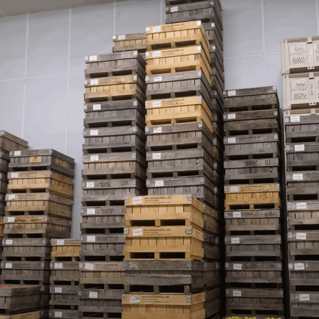 Several large stacks of apple bins