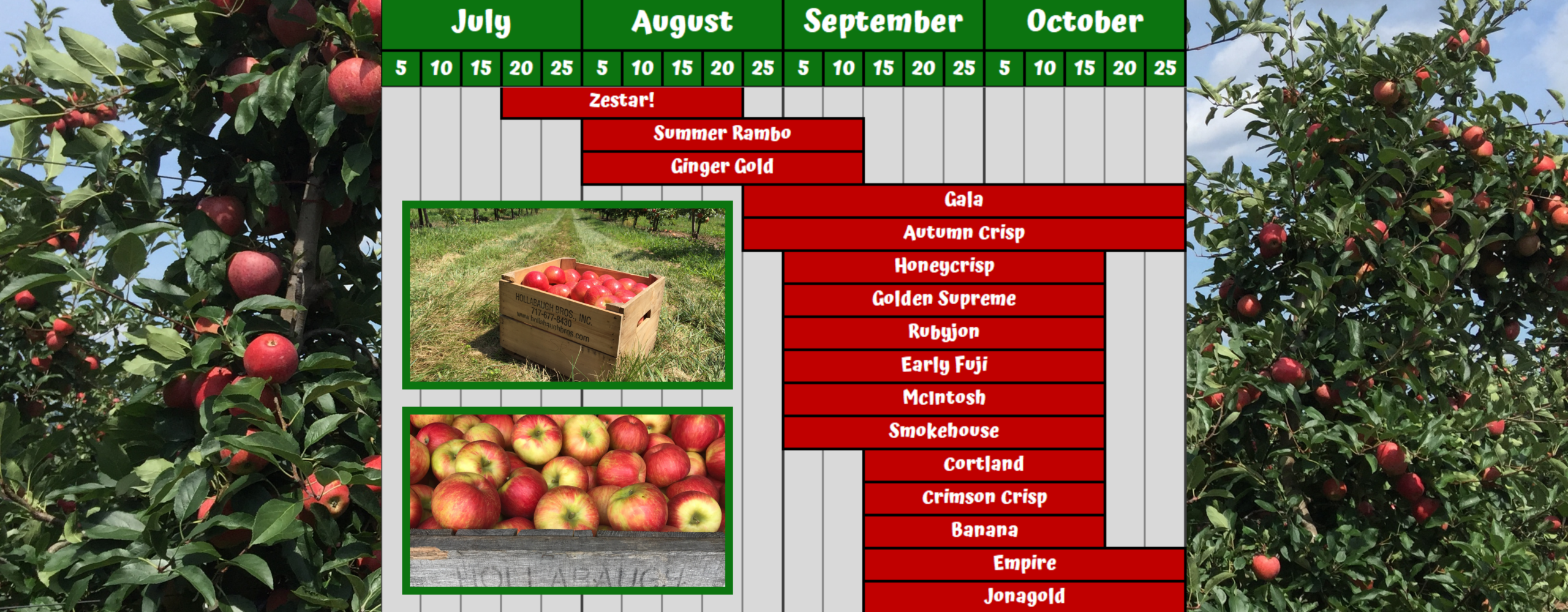 Apple seasonality chart