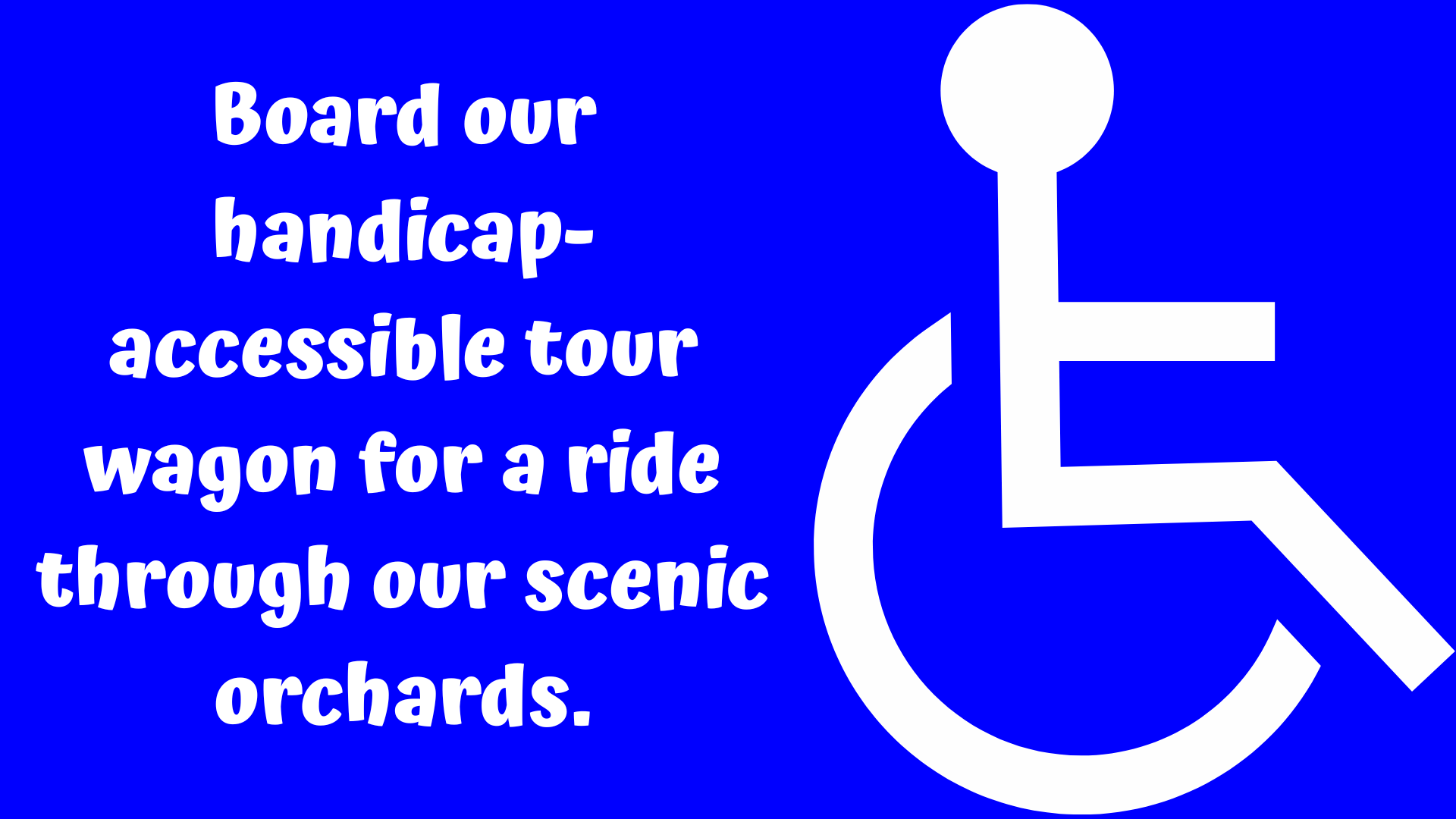 Board our handicap-accessible tour wagon for a ride through our scenic orchards.
