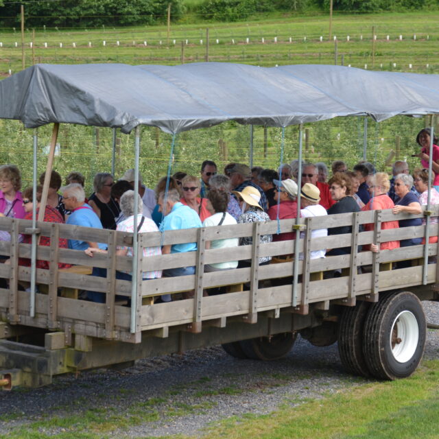 Adults Riding Tour Wagon