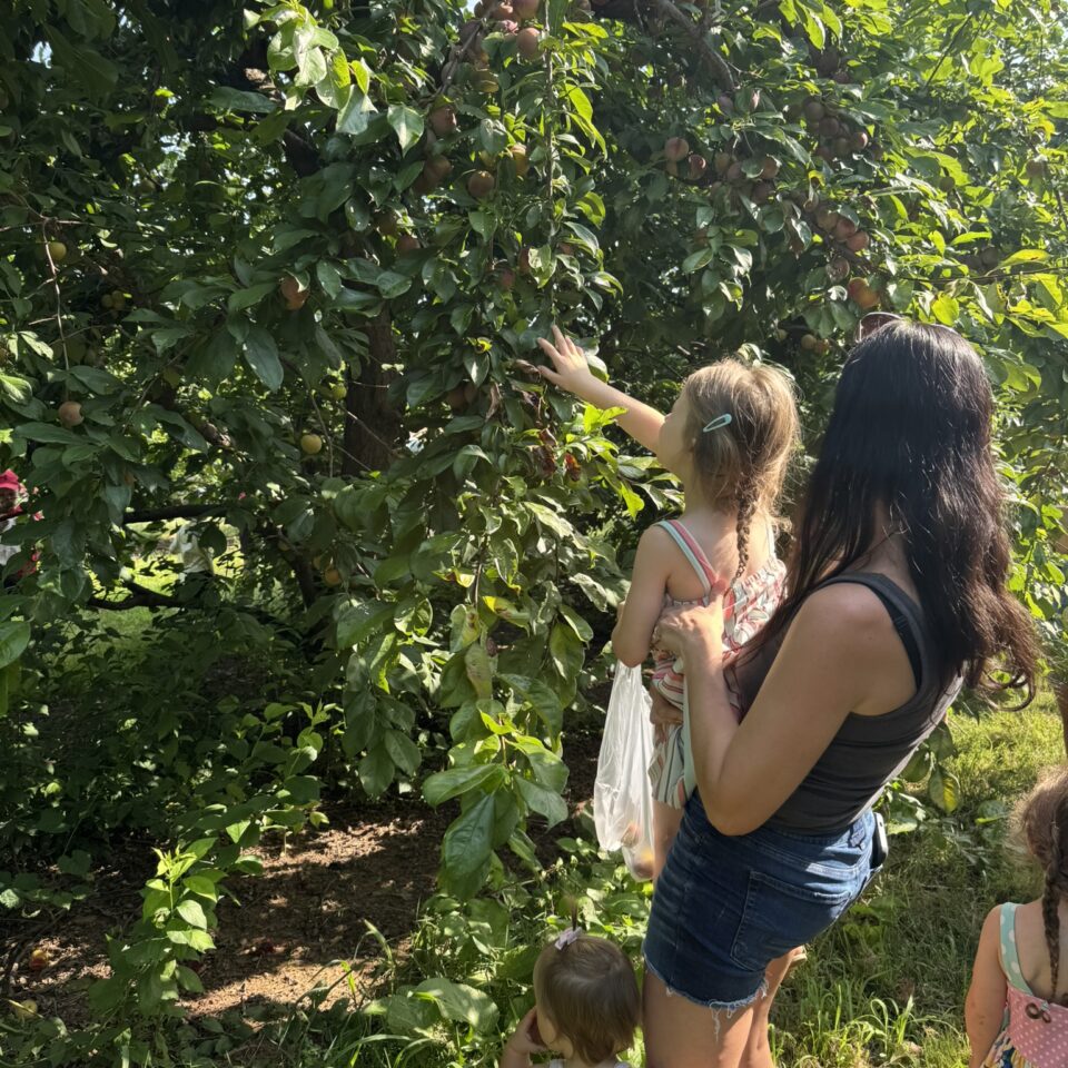 Mother and Daughter Picking Apples