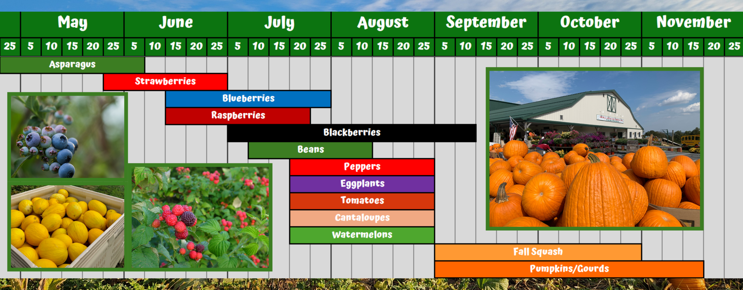 Misc. vegetable seasonality chart.