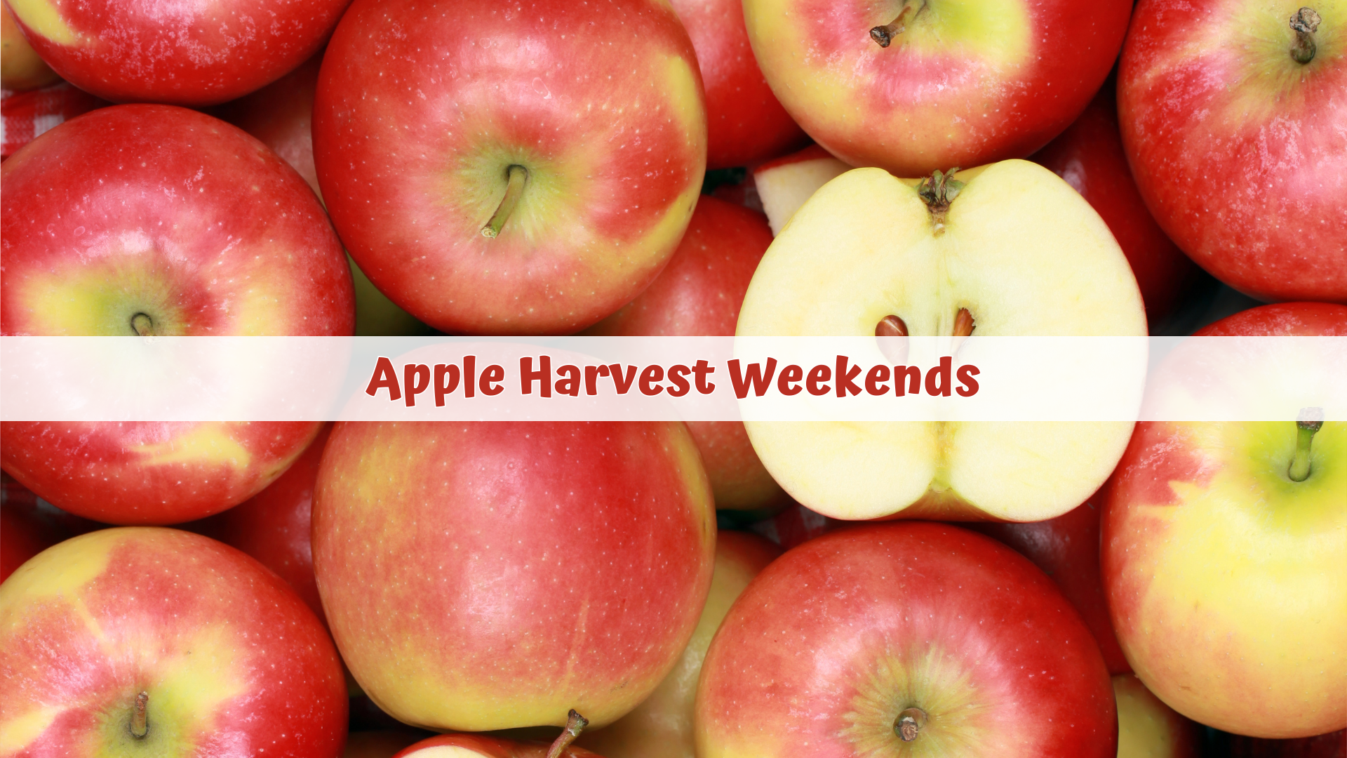 Apple Harvest Weekends