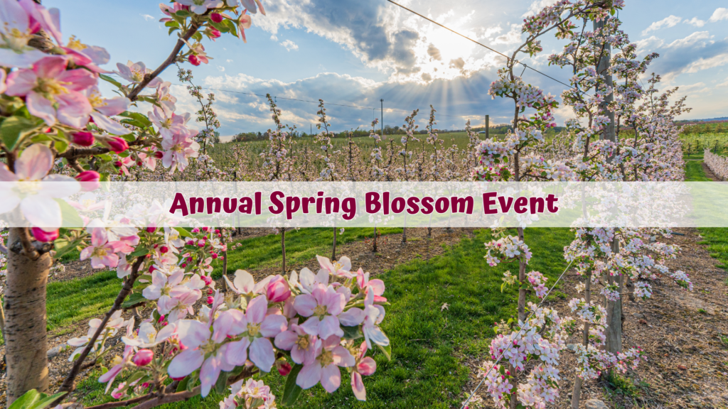 Spring Blossom Event