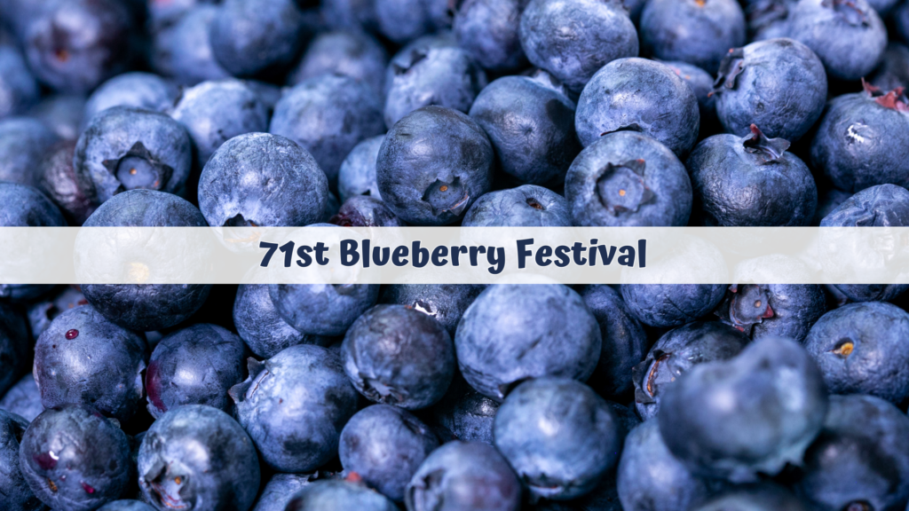 Blueberry Festival