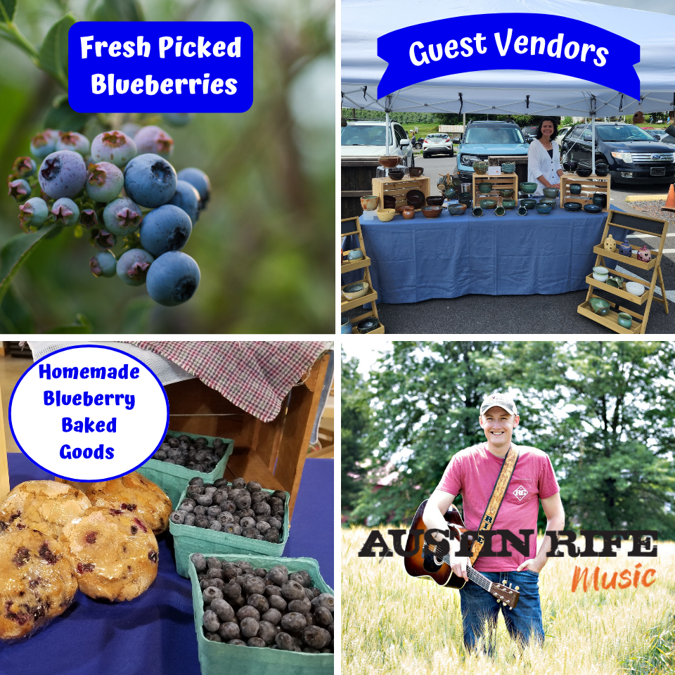 Fresh Picked Blueberries Guest Vendors Homemade Blueberry Baked Goods Austin Rife Music