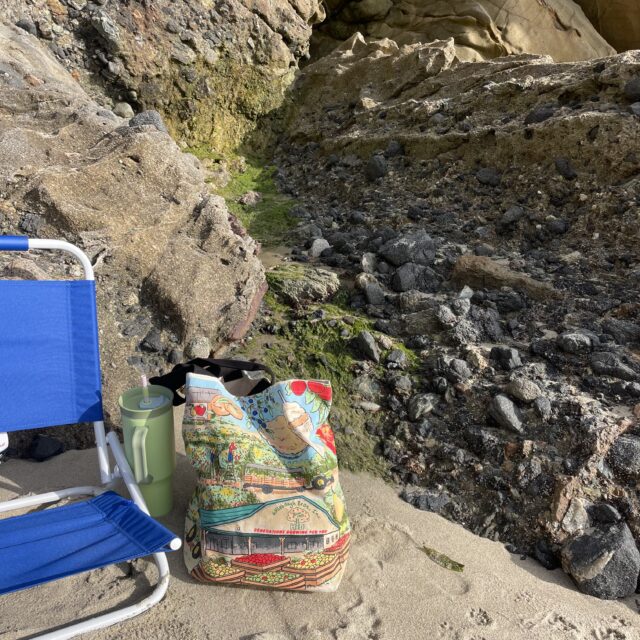 HBI Bag at beach