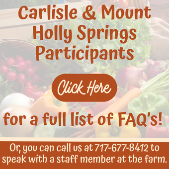 Carlisle & Mount Holly Springs Participants - click here for complete FAQ