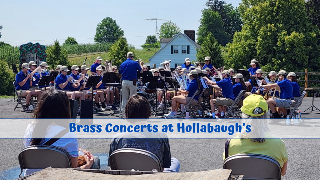 All-Star Brass Bands will be playing at the market on June 12th.