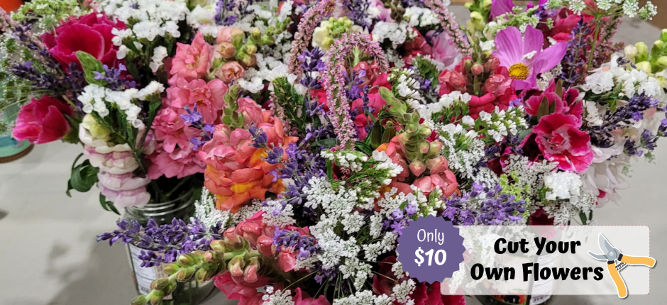 Cut Your Own Flowers now open!
