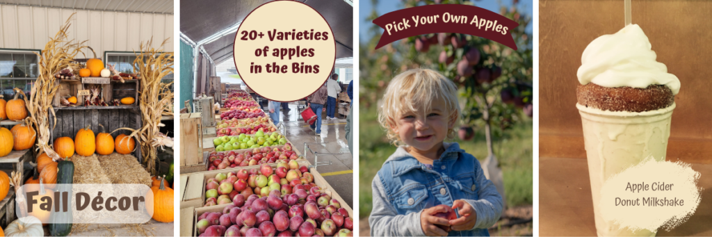 Apple Harvest Weekend Activities