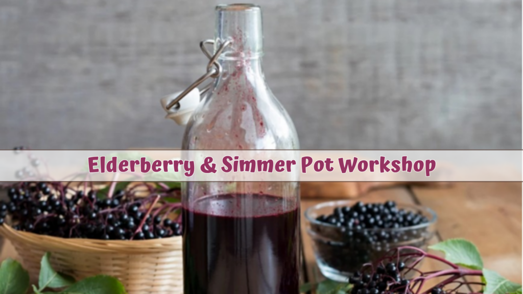 Elderberry & Simmer Pot Workshop
