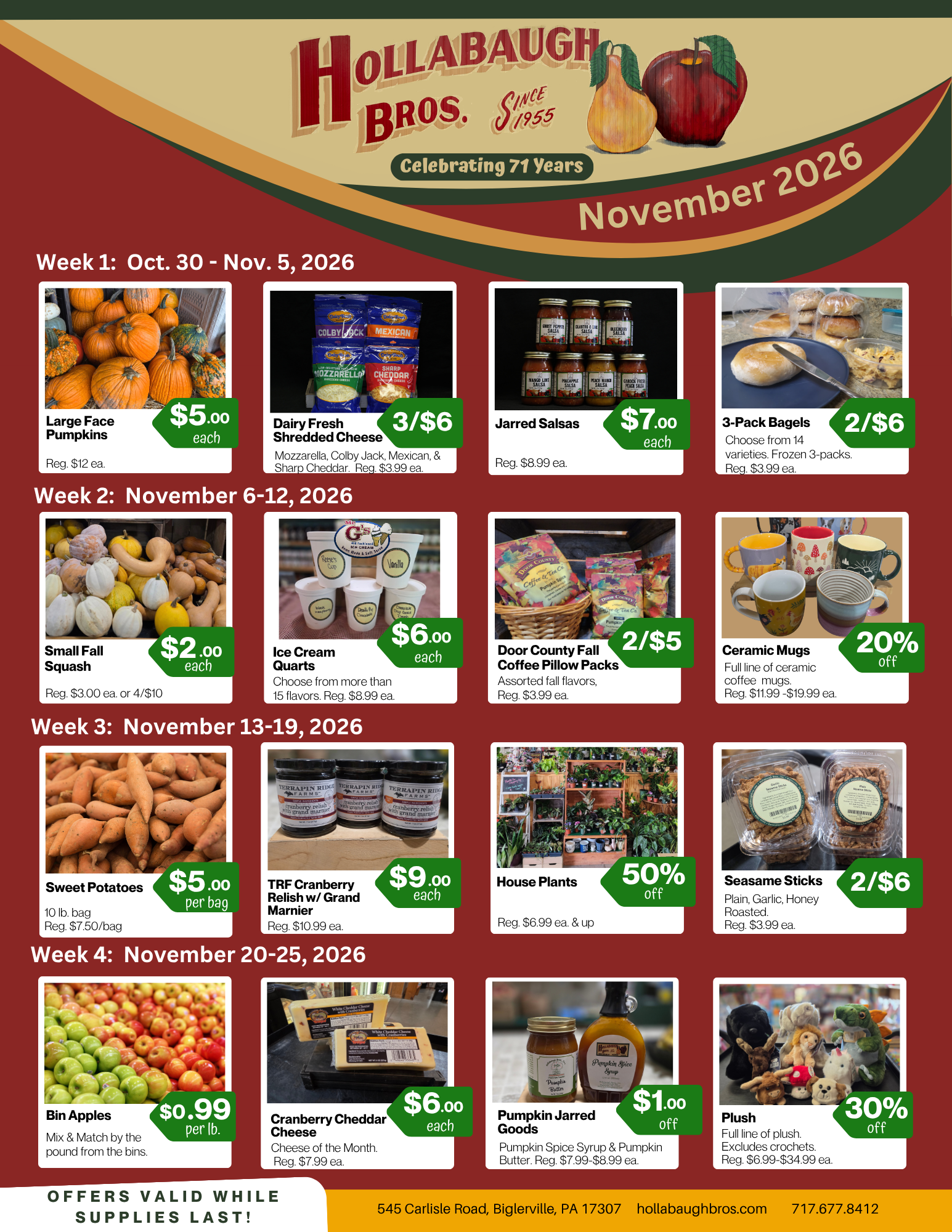November 2026 Sales Flyer