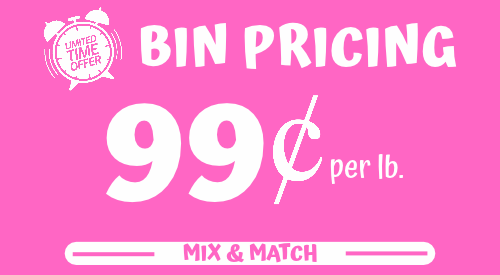 Festival Special Pricing